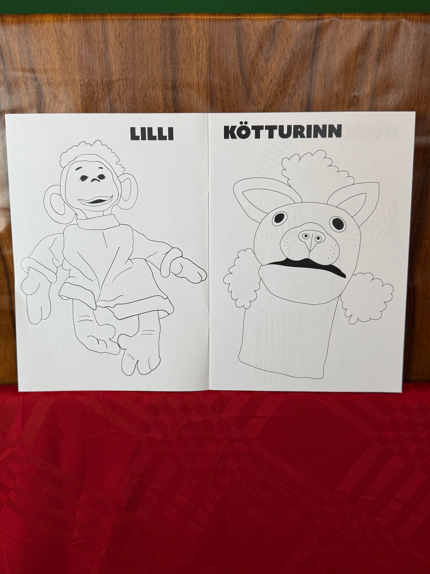 Litabók + litir